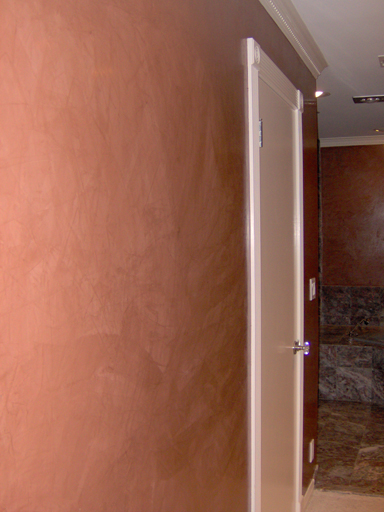 Venetian Plaster faux finish in the Master Bath.